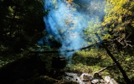 pagenumber_ebook=47,pagenumber_book=35