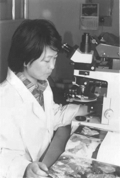 pagenumber_ebook=414,pagenumber_book=402