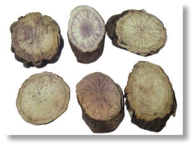 pagenumber_ebook=75,pagenumber_book=62