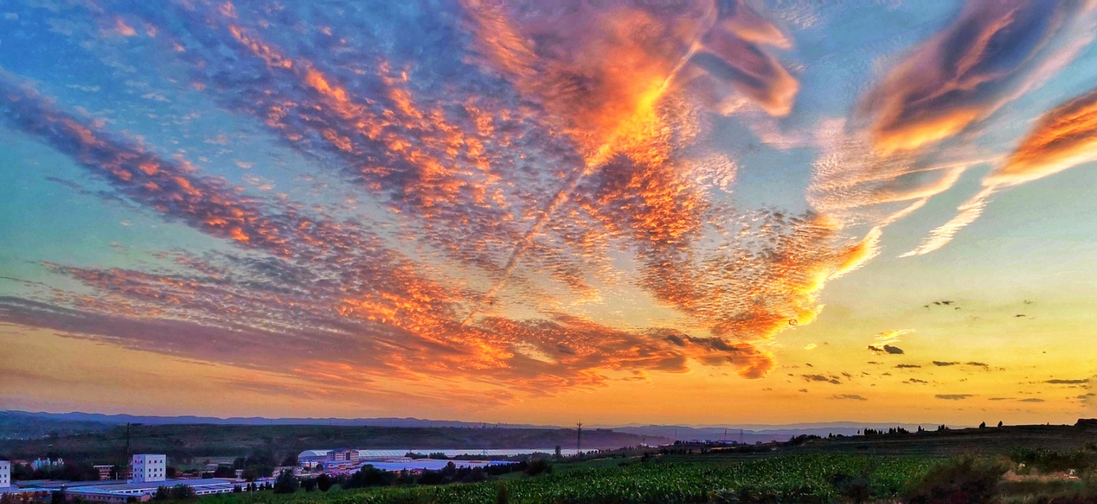 微信图片_20211130100915