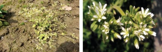 pagenumber_ebook=140,pagenumber_book=132