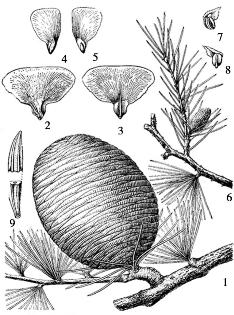 pagenumber_ebook=69,pagenumber_book=69