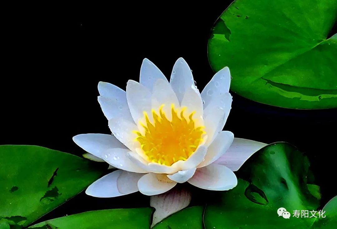 微信图片_20221009095411