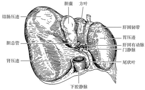pagenumber_ebook=462,pagenumber_book=447
