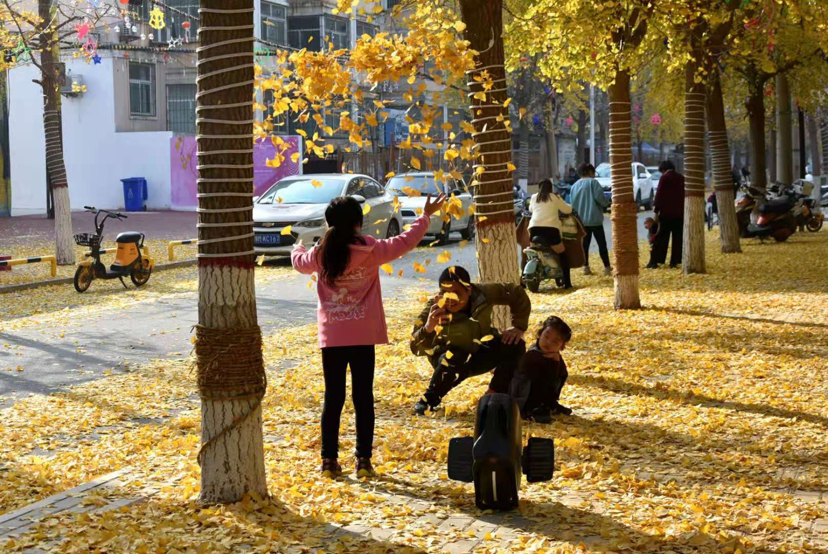 微信图片_202012142005355