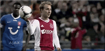 贾府时期的埃里克森