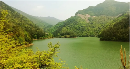 微信图片_20200424001506 微信图片_20200424001506.png