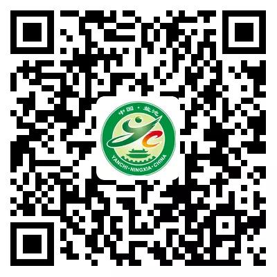 2 2.jpg?v=1763530010956