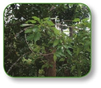 pagenumber_ebook=211,pagenumber_book=198