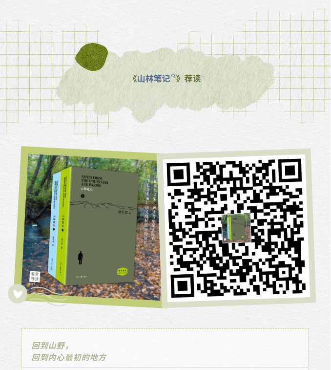 image.png?v=1762100193712