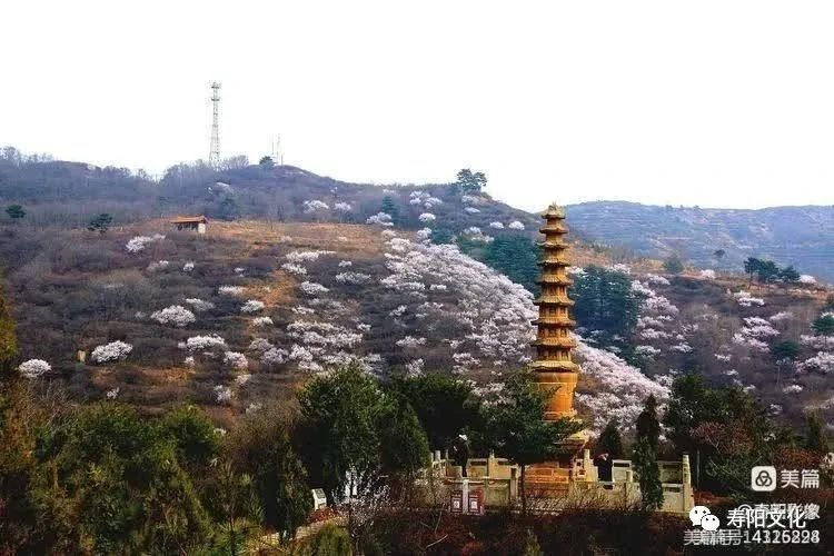 902e90d0612bd23c4cd657ab915ee1d2_640_wx_fmt=jpeg&wxfrom=5&wx_lazy=1&wx_co=1 902e90d0612bd23c4cd657ab915ee1d2_640_wx_fmt=jpeg&wxfrom=5&wx_lazy=1&wx_co=1.jpg