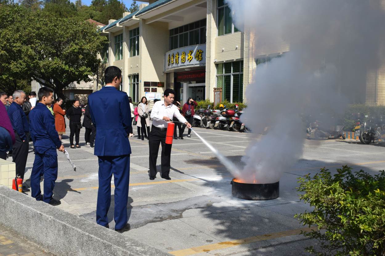 DSC_7791 DSC_7791.jpg?v=1765895664961