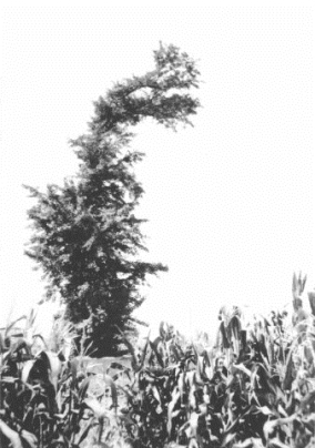 pagenumber_ebook=190,pagenumber_book=175