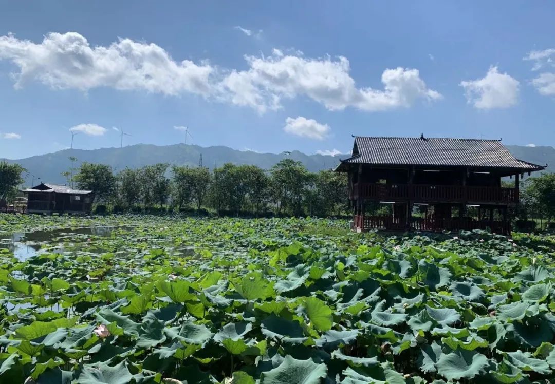 螺山现代农业观光园2 螺山现代农业观光园2.jpg