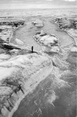 pagenumber_ebook=142,pagenumber_book=132