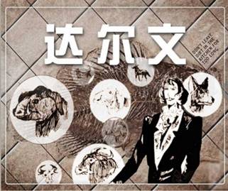 image026 image026.jpg?v=1765774188684