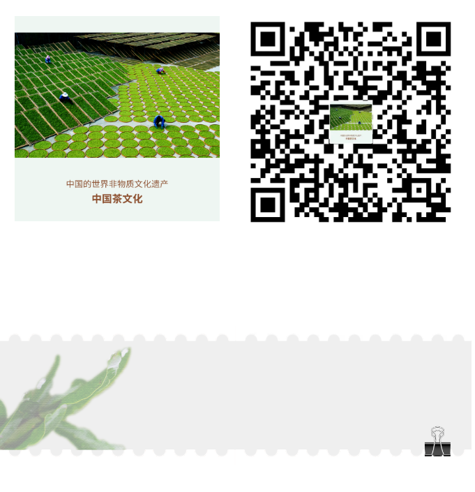 image.png?v=1782173611775