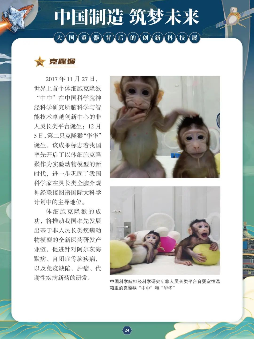 24 24.jpg?v=1765792086870