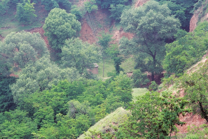 pagenumber_ebook=113,pagenumber_book=103