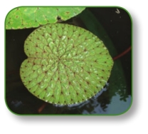 pagenumber_ebook=304,pagenumber_book=291