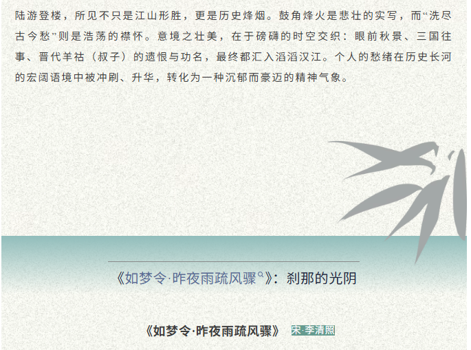 image.png?v=1774110504356