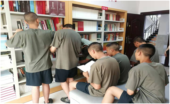 image image.png?v=1763901494319