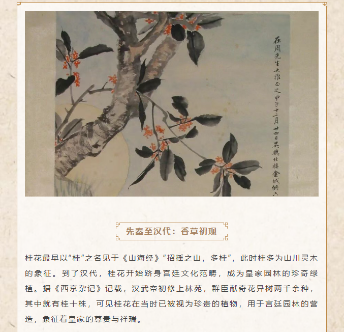 image.png?v=1762099910466