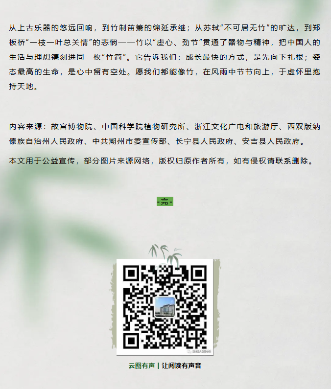 image.png?v=1762126139768