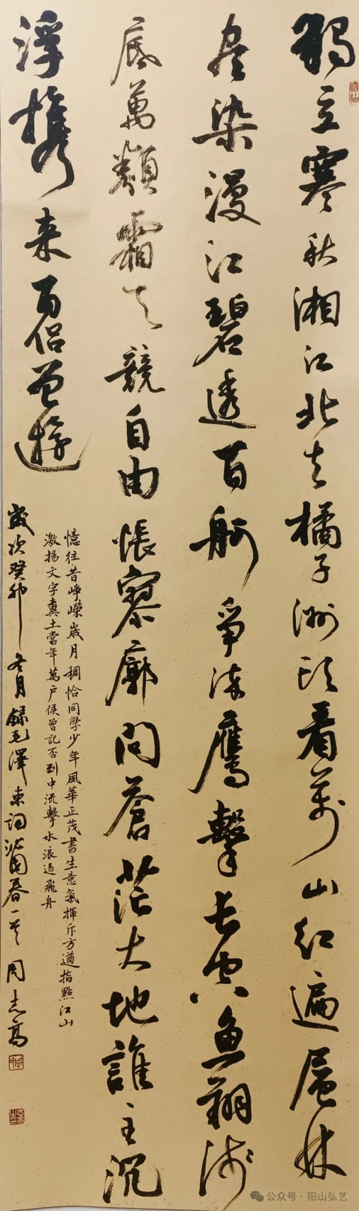 9 9.jpg?v=1772870153787