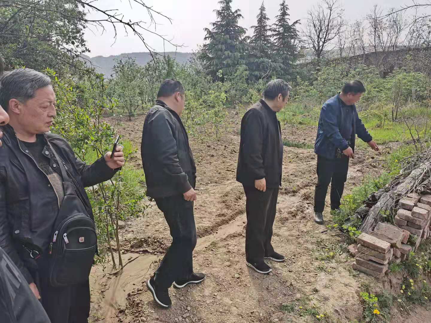 市文管所协调古城墙遗址立碑 (3)