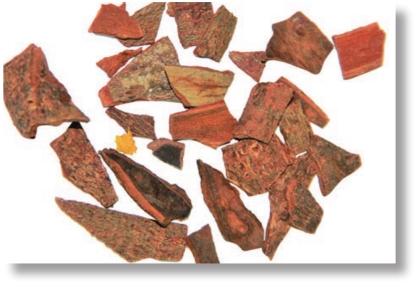 pagenumber_ebook=129,pagenumber_book=116