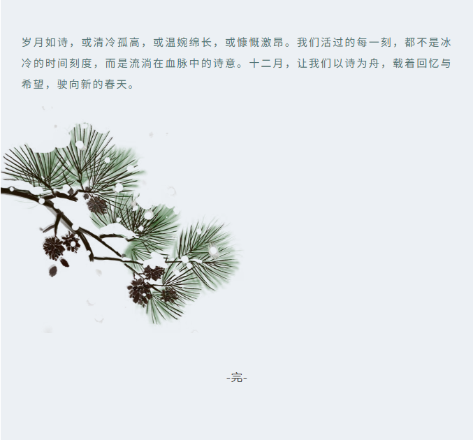 image.png?v=1766278435049