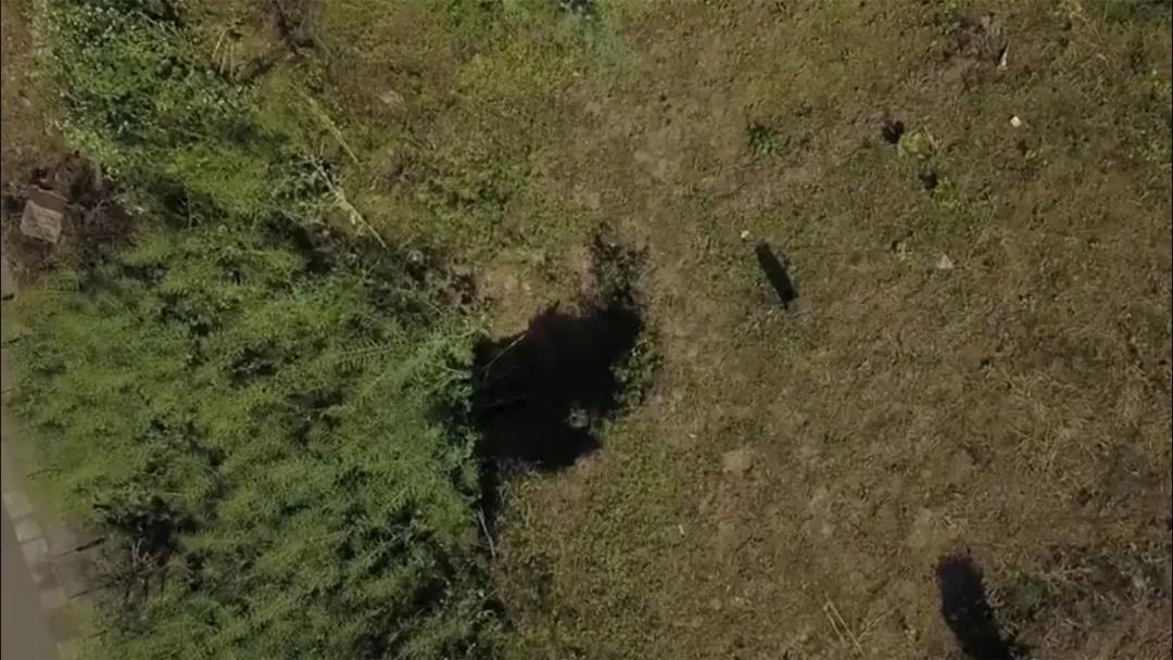 微信图片_20201223120709