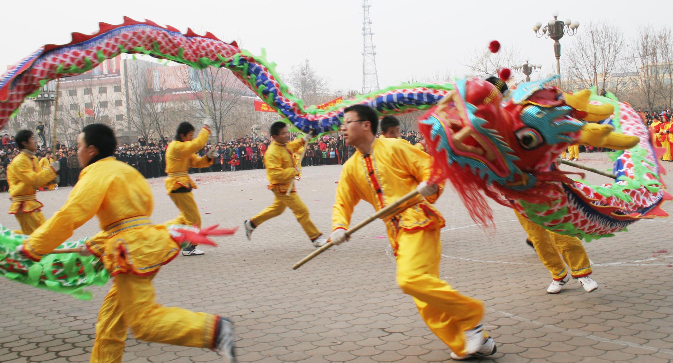 (6)绣球灯舞表演舞龙