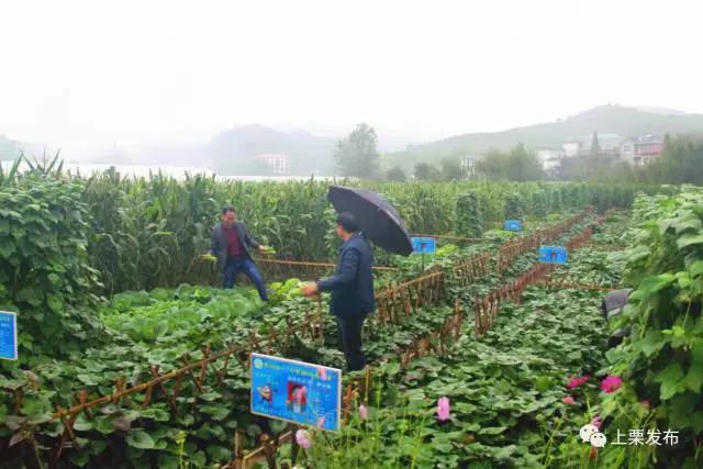 微信图片_20200712131414 微信图片_20200712131414.jpg