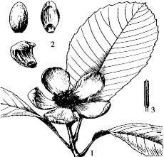 pagenumber_ebook=88,pagenumber_book=88