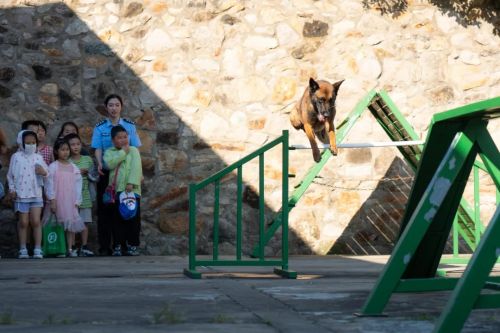 22222.webp 22222.webp.jpg?v=1765044696241