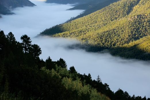 pagenumber_ebook=60,pagenumber_book=48