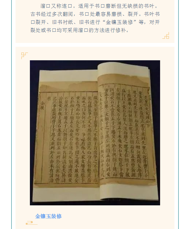 image.png?v=1754275719565