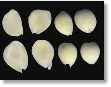 pagenumber_ebook=216,pagenumber_book=203