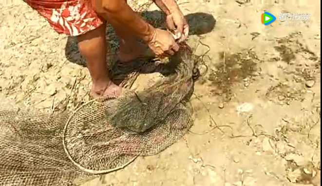 1 1.png?v=1765897792699