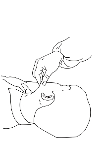 pagenumber_ebook=217,pagenumber_book=217