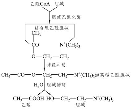 pagenumber_ebook=52,pagenumber_book=45