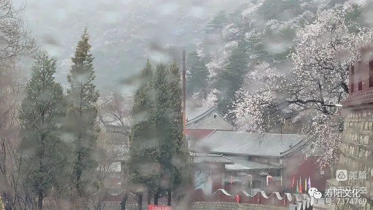 c5530dc1e9a1c30307928c8c39115e79_640_wx_fmt=jpeg&wxfrom=5&wx_lazy=1&wx_co=1 c5530dc1e9a1c30307928c8c39115e79_640_wx_fmt=jpeg&wxfrom=5&wx_lazy=1&wx_co=1.jpg