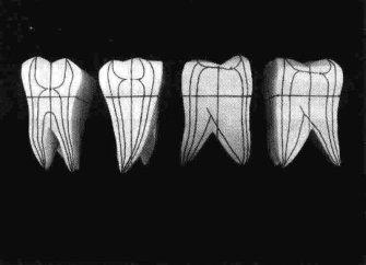 pagenumber_ebook=209,pagenumber_book=200