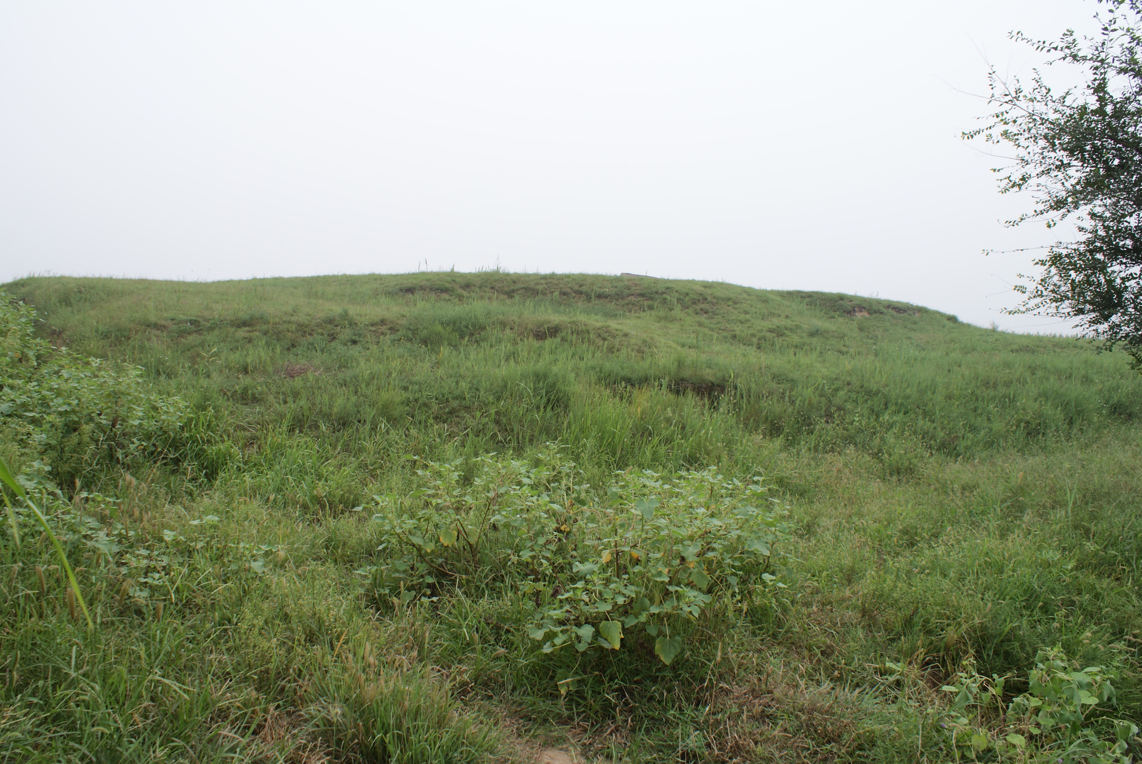 凤凰台遗址11 凤凰台遗址11.jpg