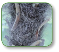 pagenumber_ebook=172,pagenumber_book=159