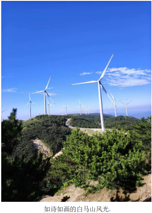 1732190882979 1732190882979.png