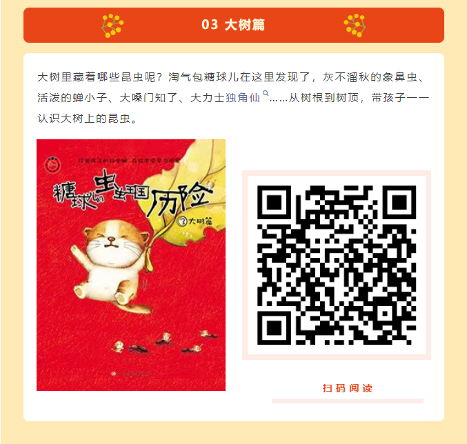 image.png?v=1751560524628