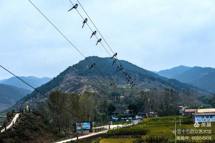 微信图片_20201016152150